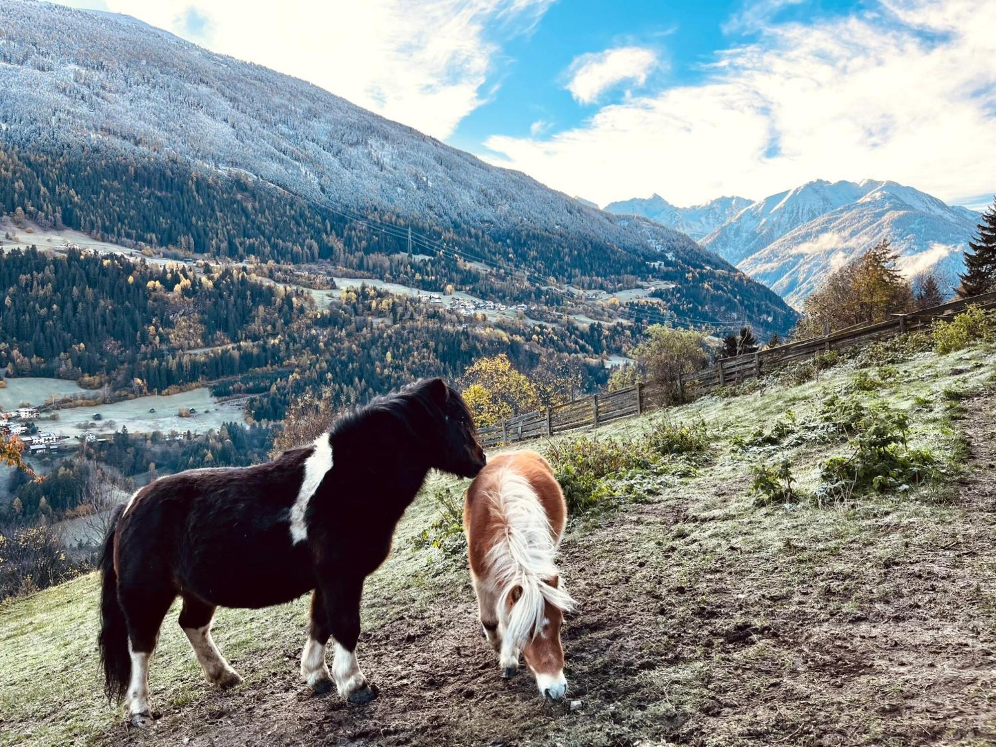 Apart Alpenzeit Arzl im Pitztal Luaran gambar