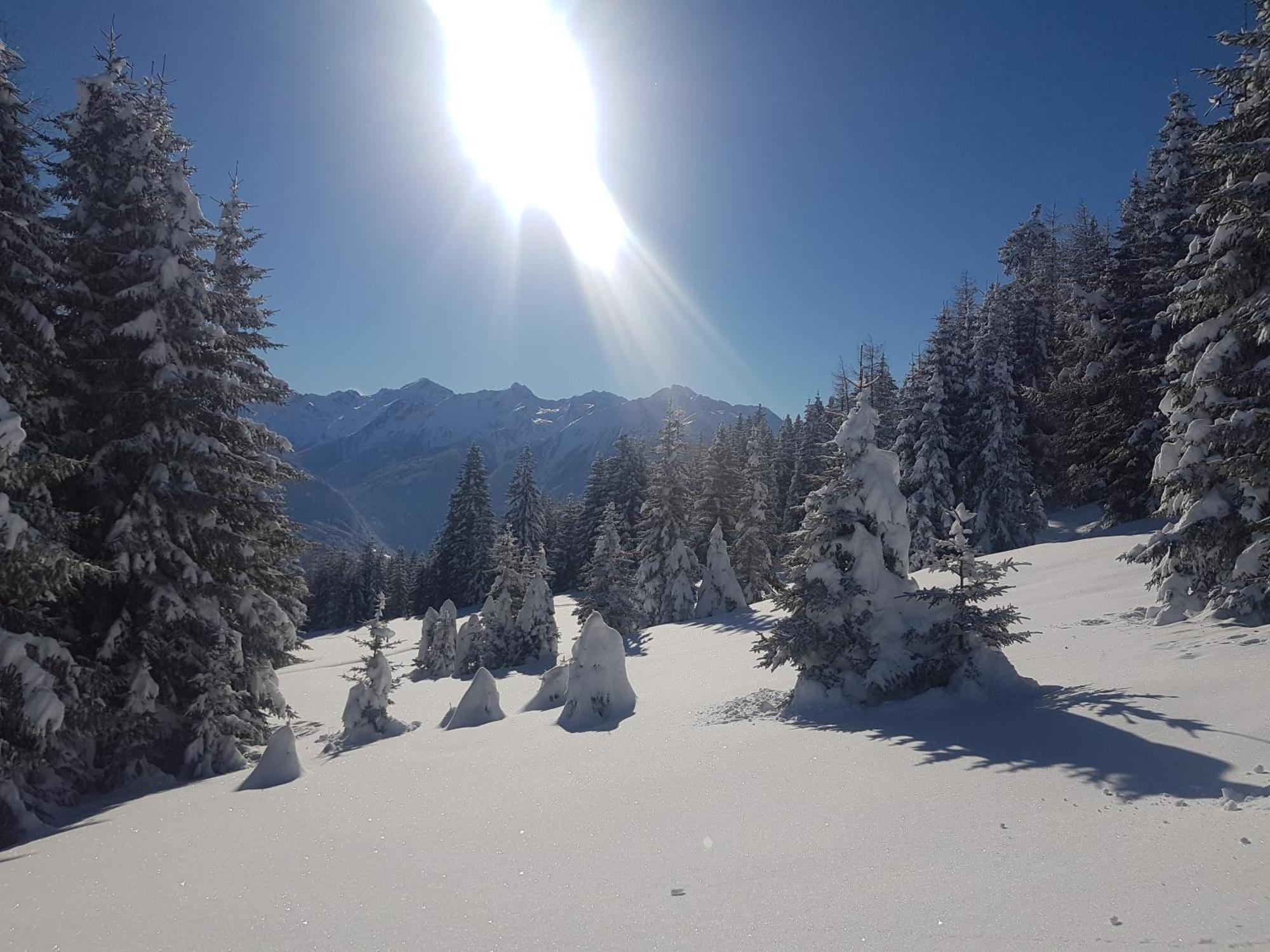 Apart Alpenzeit Arzl im Pitztal Luaran gambar